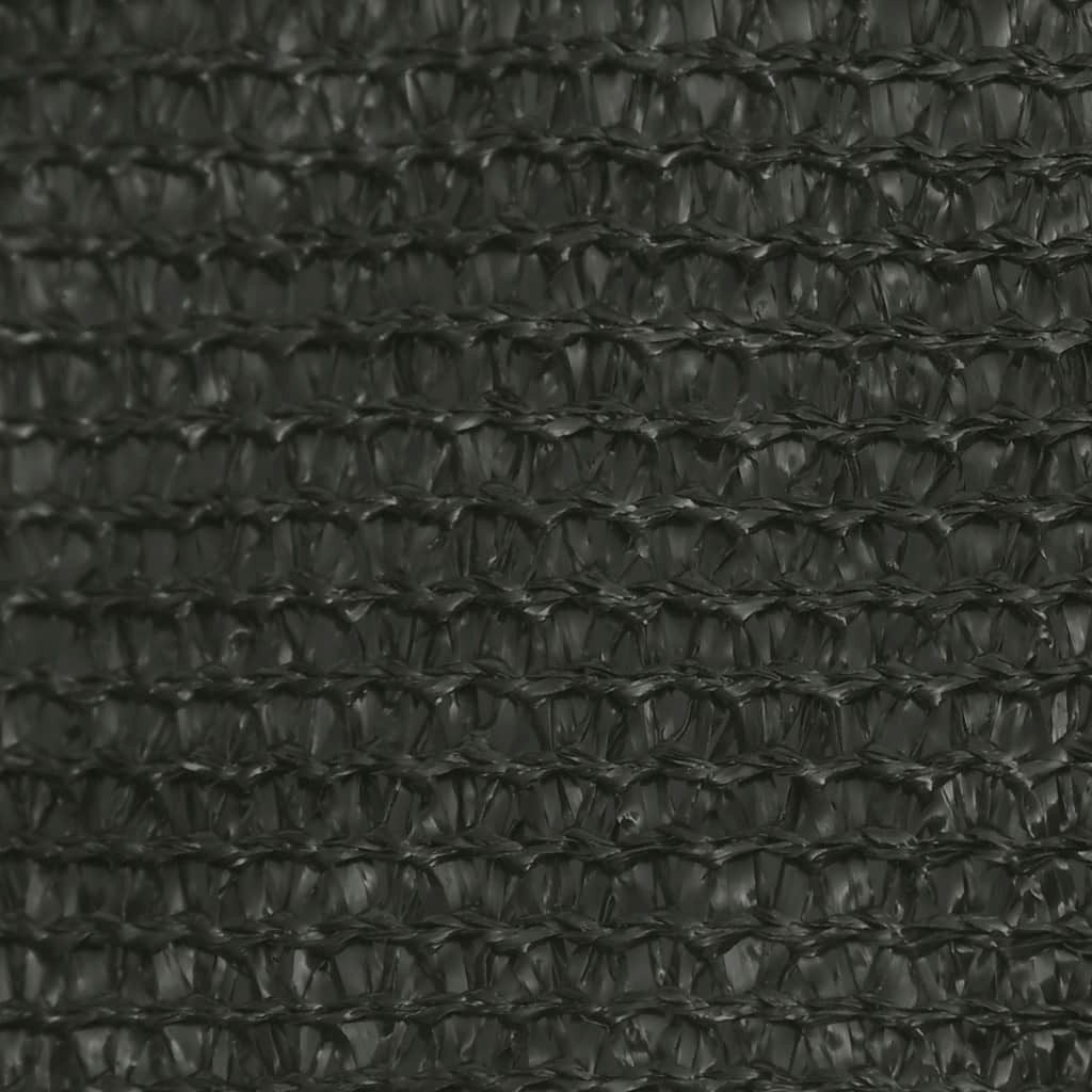 Sunshade Sail 160 g/m² Anthracite 3x5 m HDPE